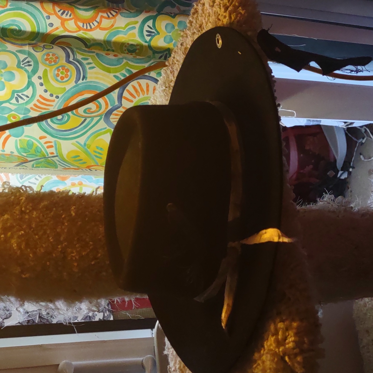 Peter Grimm Hat